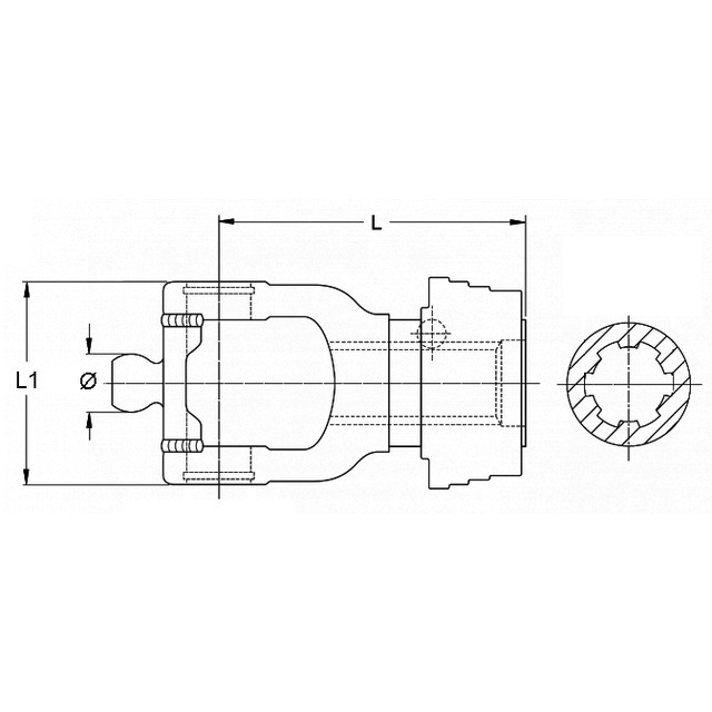 SitePH2-STE_122511_.jpg